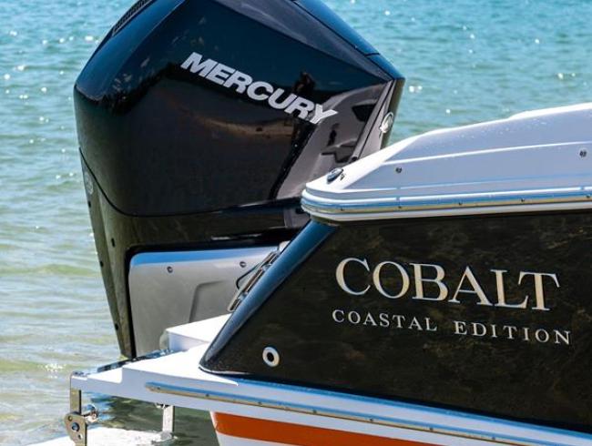 COBALT R4 Outboard | Belgian Boat Service