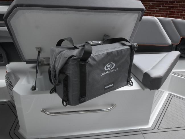 Cobaltboats R8 Surf Belgian Boat Service Nieuwpoort