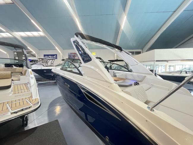 Searay 230 SDX Outboard Belgian Boat Service