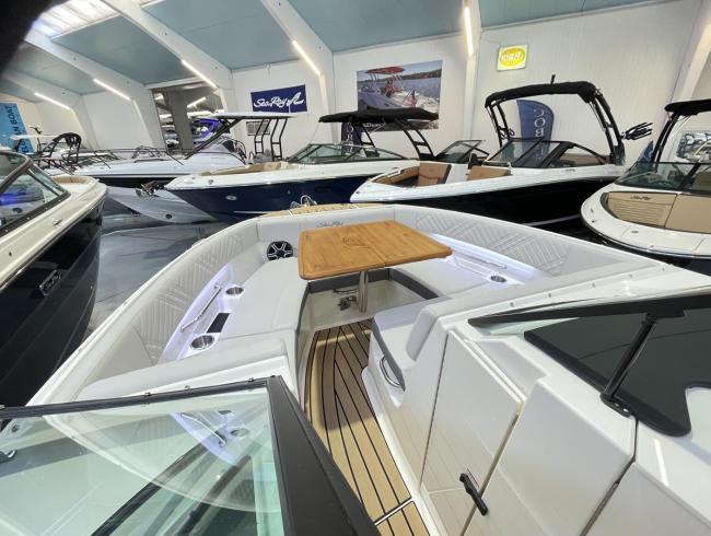 Searay 230 SDX Outboard Belgian Boat Service