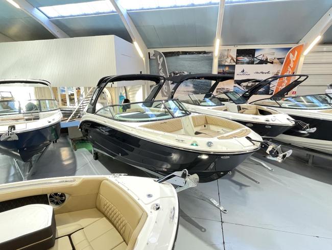 Searay 250 SDX Outboard Belgian Boat Service Nieuwpoort