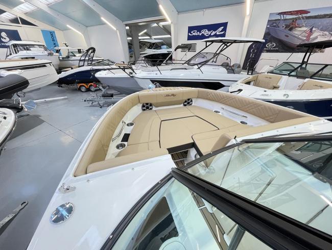 Searay 250 SDX Outboard Belgian Boat Service Nieuwpoort