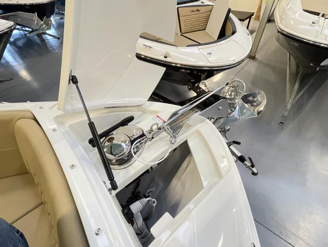 Searay 25 SLX Belgian Boat Service