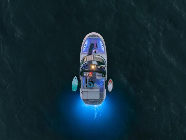 Searay 230 SDS Surf Belgian Boat Service Nieuwpoort