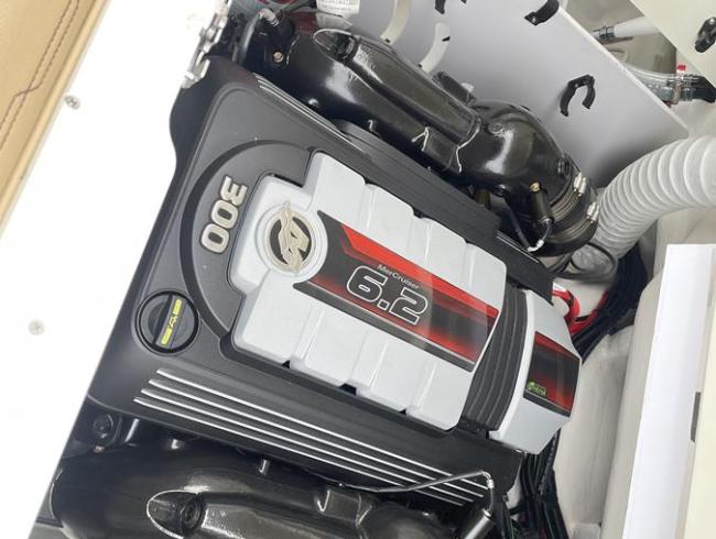 Searay 230 SPX Searay sportboot Belgian Boat Service Nieuwpoort