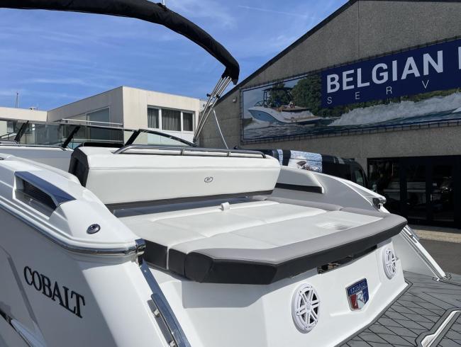 Cobaltboats R6 Belgian Boat Service