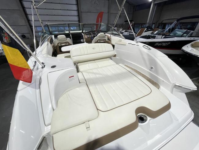 Cobaltboats 243 Belgian Boat Service