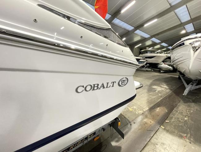 Cobaltboats 243 Belgian Boat Service