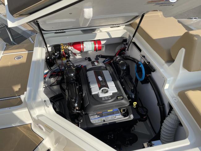 Searayboats 250 Surf Belgian Boat Service