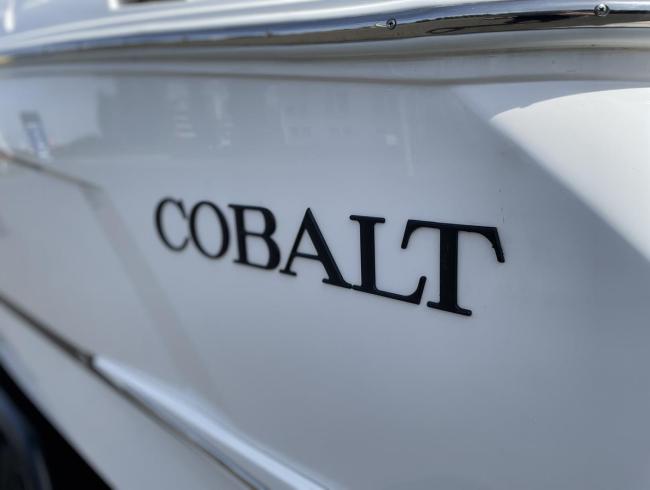 Cobaltboats R6 Belgian Boat Service