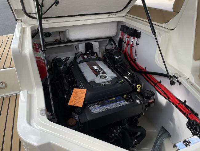 Searay 260 SLX Belgian Boat Service