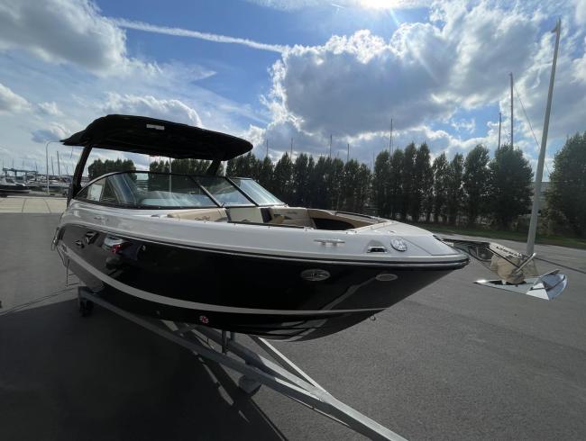 Searay 260 SLX Belgian Boat Service
