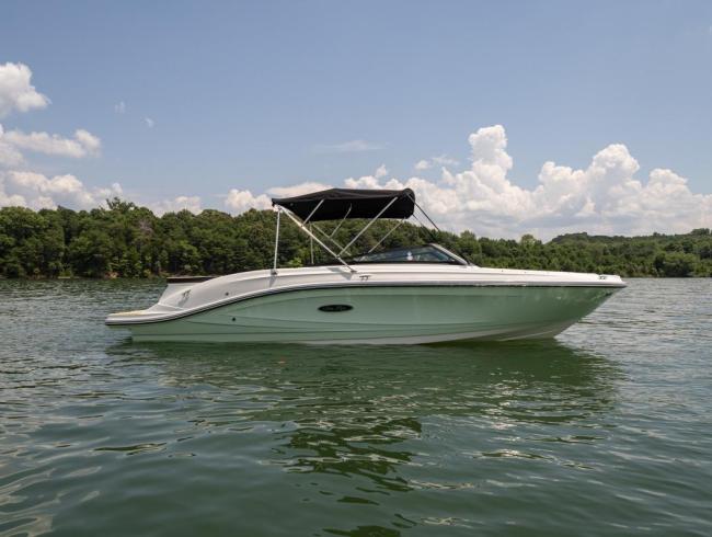 Searay SPX 230