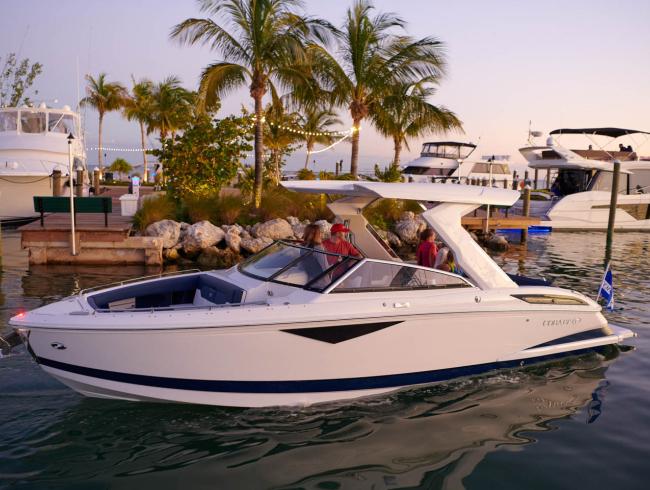CobaltBoats A29