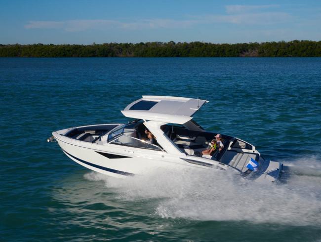 CobaltBoats A29