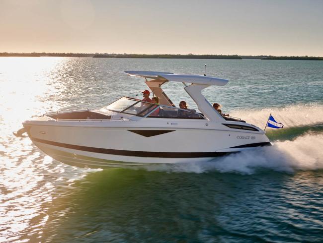 CobaltBoats A29