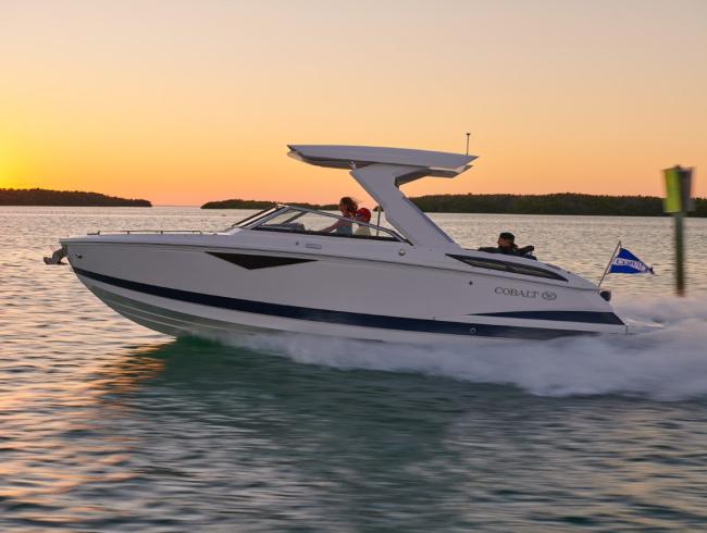 CobaltBoats A29