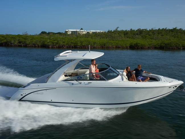 Cobaltboats R30
