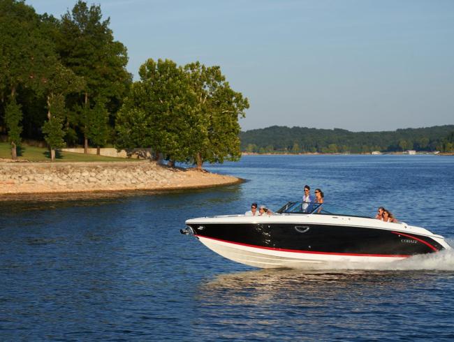 Cobaltboats R30