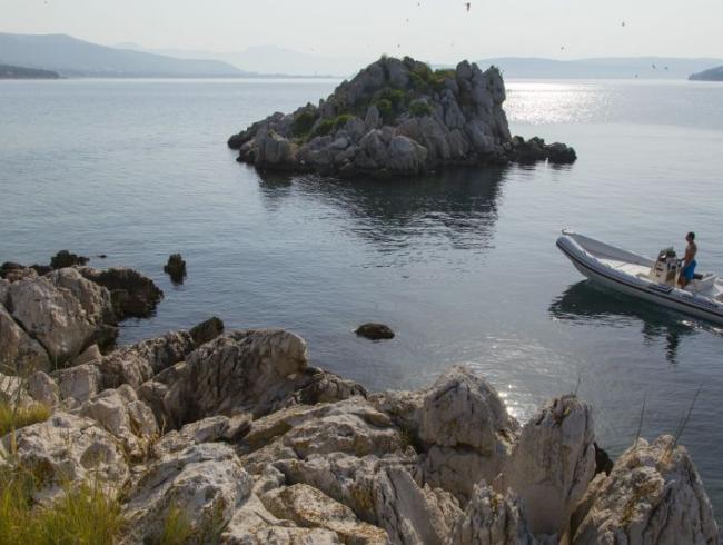 Clubman 21