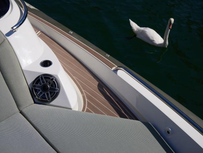 Clubman 32 Jokerboat