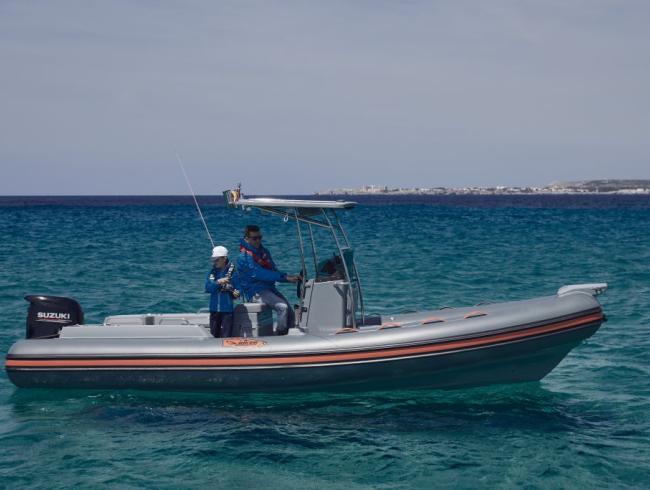 650 Barracuda Jokerboat