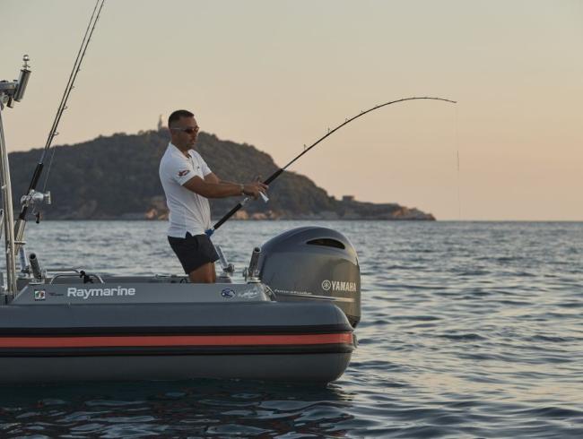 650 Barracuda Jokerboat