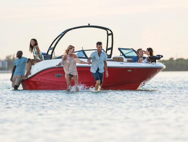 New Sea Ray 230 SPX Outboard