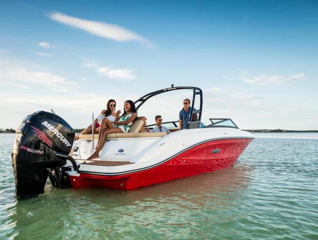 New Sea Ray 230 SPX Outboard