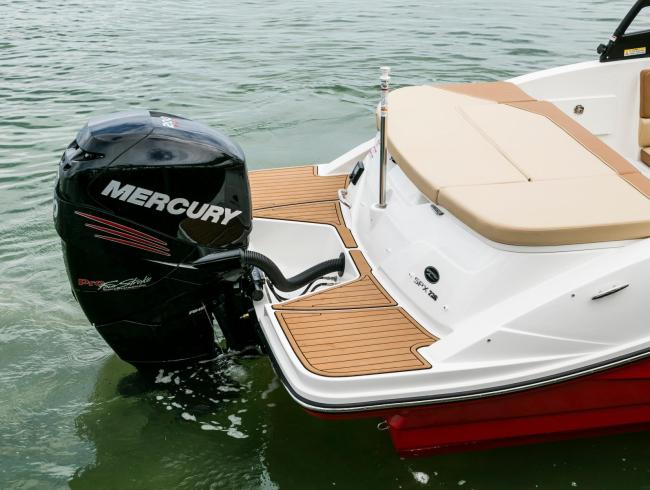New Sea Ray 230 SPX Outboard