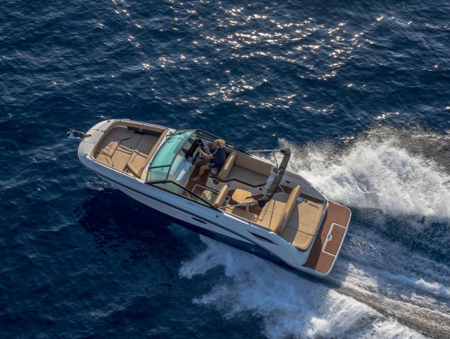 Sea Ray 250SDX
