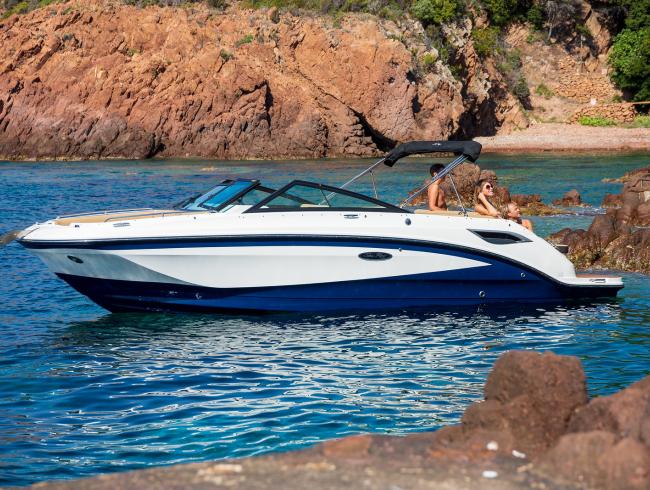 Sea Ray 250SDX