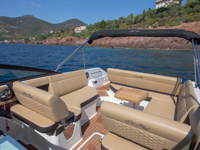 Sea Ray 250SDX