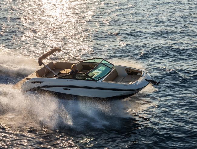 Sea Ray 250SDX