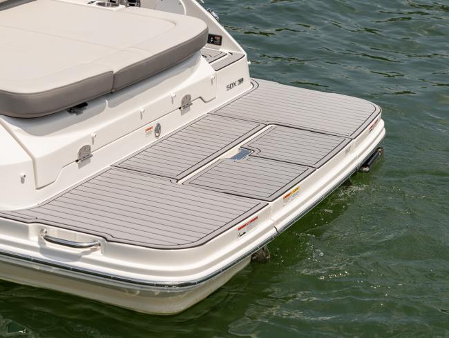 Sea Ray 250SDX