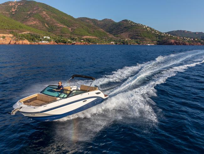 Sea Ray 250SDX