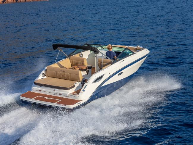 Sea Ray 250SDX