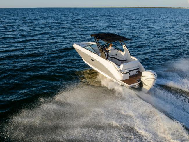 Sea Ray 250 SDX OB