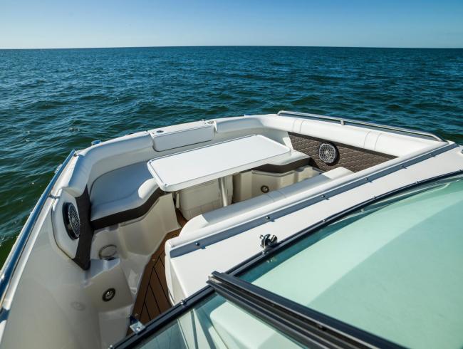 Sea Ray 250 SDX OB