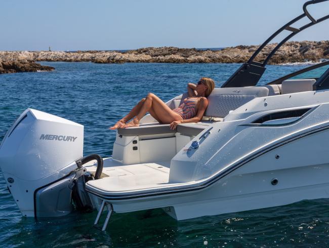 Sea Ray 250 SDX OB