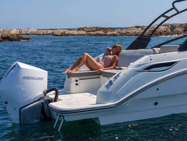 Nieuwe SeaRay  SDX 250 OB & IB versies binnenkort bij BBS in de showroom