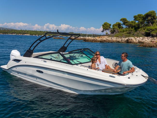 Sea Ray 250 SDX OB