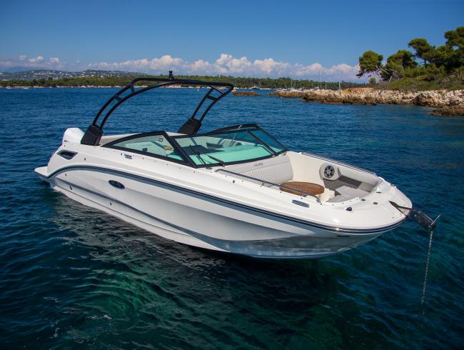 Sea Ray 250 SDX OB