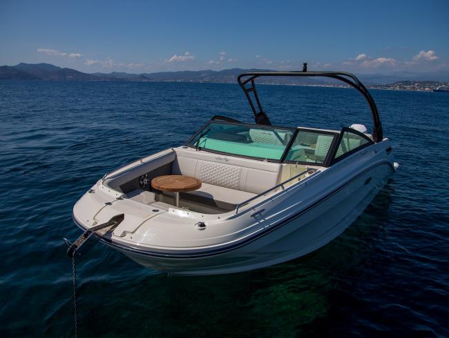 Sea Ray 250 SDX OB