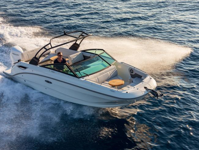 Sea Ray 250 SDX OB