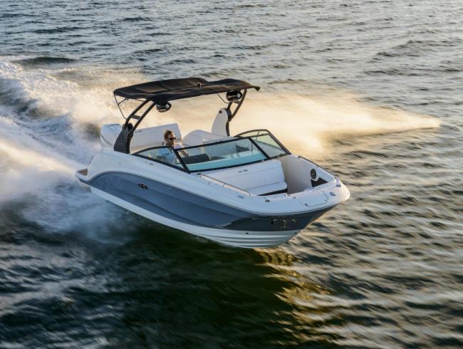Sea Ray 250 SDX OB