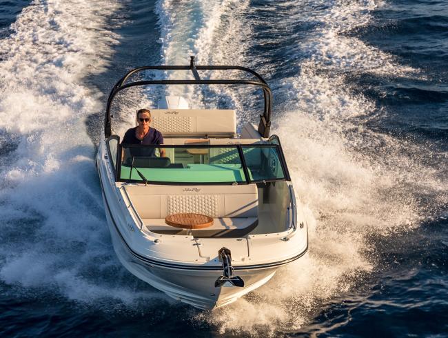 Sea Ray 250 SDX OB