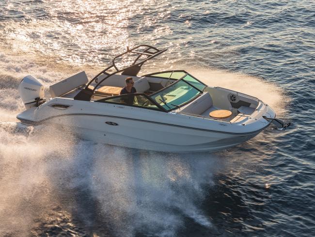 Sea Ray 250 SDX OB