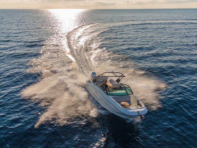 Sea Ray 250 SDX OB