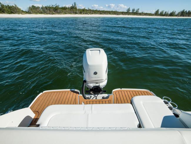 Sea Ray 250 SDX OB